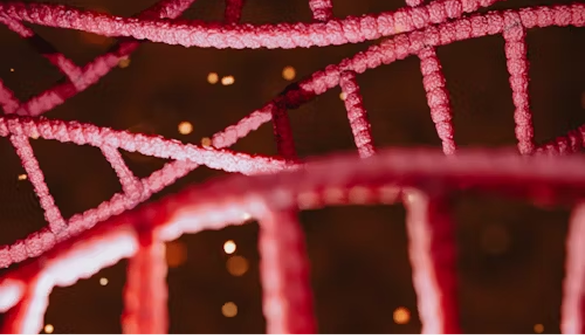 High-quality Embeddings